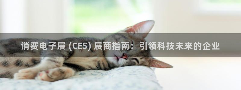 凯发k8登录首页|消费电子展 (CES) 展商指南：引领科技未来的企业